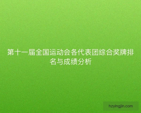 第十一届全国运动会各代表团综合奖牌排名与成绩分析